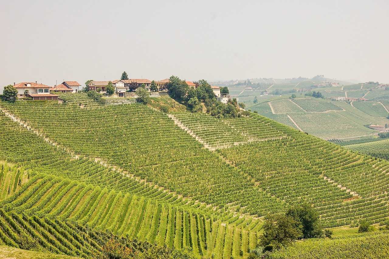 Wein aus Italien Wein Weisswein Toskana Sizilien