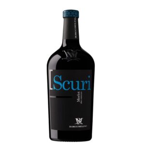2023 I Scuri Merlot