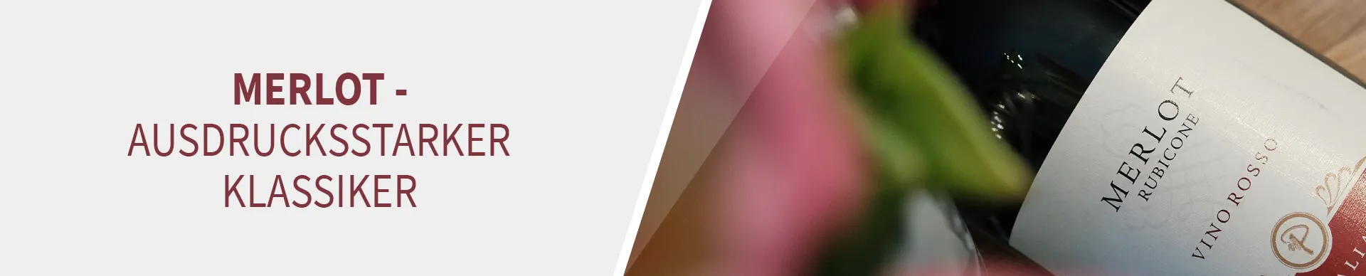 Merlot - klassicher Genuss Merlot - klassicher Genuss