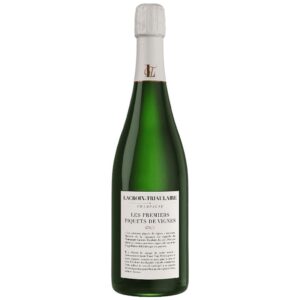 Les Premiers Piquets de Vignes Champagne Lacroix Triaulaire